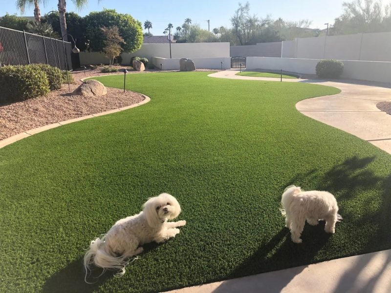 artificial grass project in Arlington